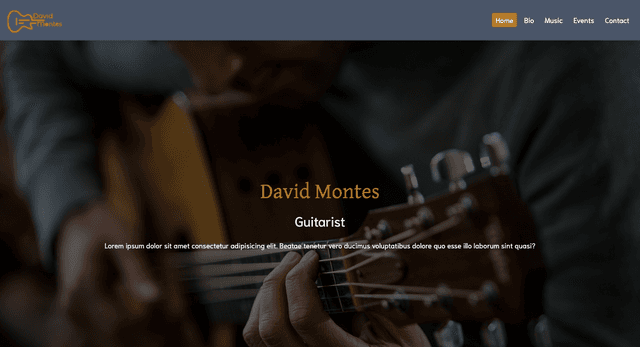 Musician Portfolio